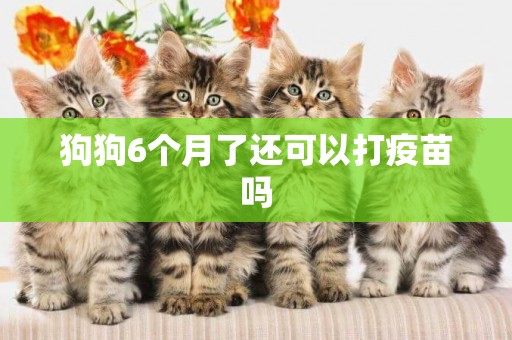 狗狗6個月了還可以打疫苗嗎