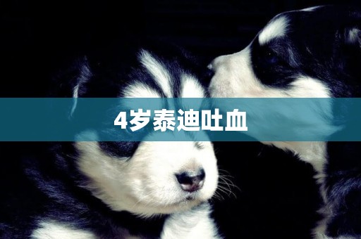 4歲泰迪吐血