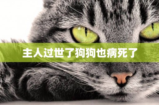 主人過世了狗狗也病死了