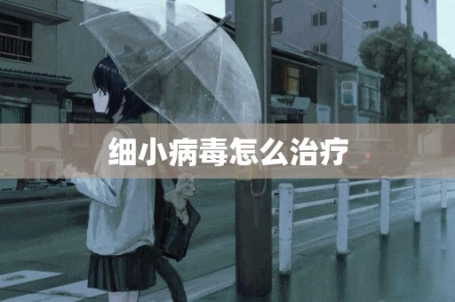 細小病毒怎么治療