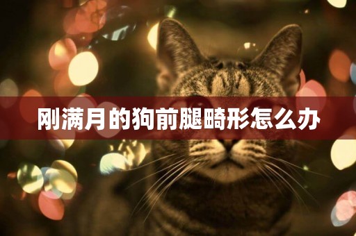 剛滿月的狗前腿畸形怎么辦