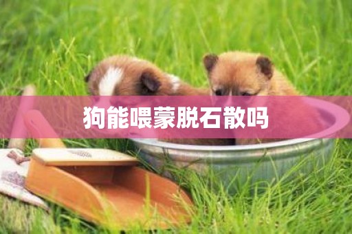 狗能喂蒙脫石散嗎