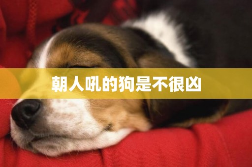 朝人吼的狗是不很兇