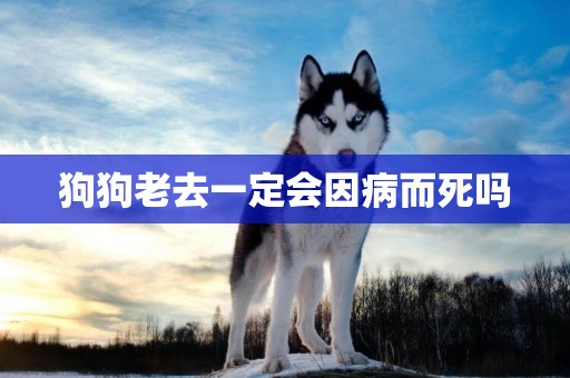 狗狗老去一定會因病而死嗎