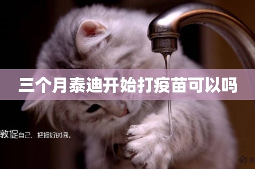 三個月泰迪開始打疫苗可以嗎