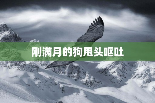 剛滿月的狗甩頭嘔吐