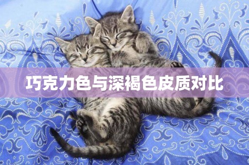 巧克力色與深褐色皮質對比