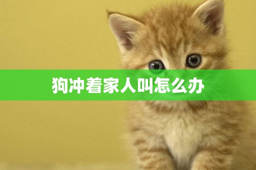 狗沖著家人叫怎么辦