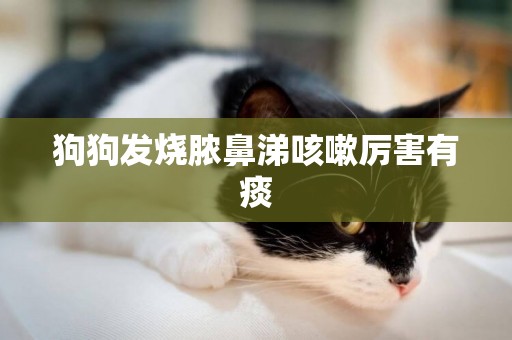 狗狗發燒膿鼻涕咳嗽厲害有痰