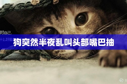 狗突然半夜亂叫頭部嘴巴抽