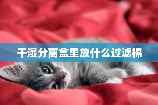 干濕分離盒里放什么過濾棉