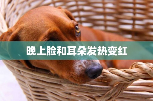 晚上臉和耳朵發熱變紅