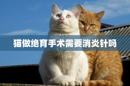 貓做絕育手術需要消炎針嗎