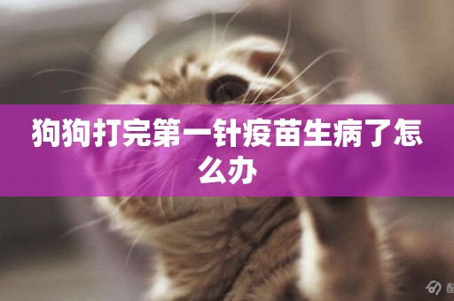 狗狗打完第一針疫苗生病了怎么辦