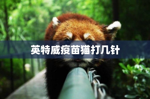 英特威疫苗貓打幾針