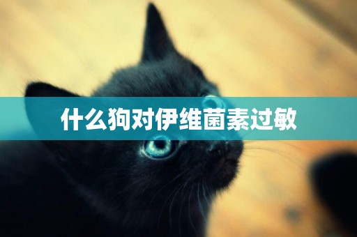 什么狗對伊維菌素過敏