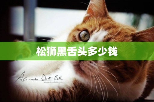 松獅黑舌頭多少錢