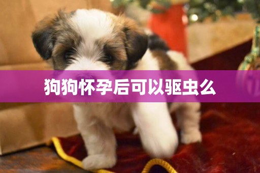 狗狗懷孕后可以驅蟲么