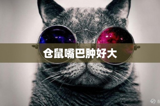 倉鼠嘴巴腫好大