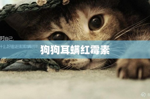 狗狗耳螨紅霉素