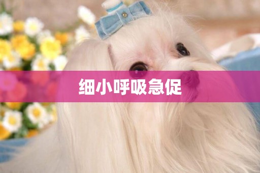 細小呼吸急促