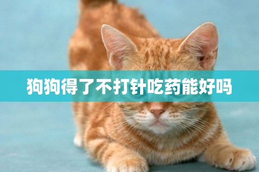狗狗得了不打針吃藥能好嗎