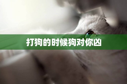 打狗的時候狗對你兇