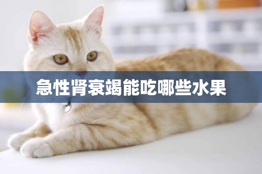 急性腎衰竭能吃哪些水果