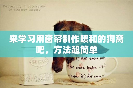 來學習用窗簾制作暖和的狗窩吧，方法超簡單