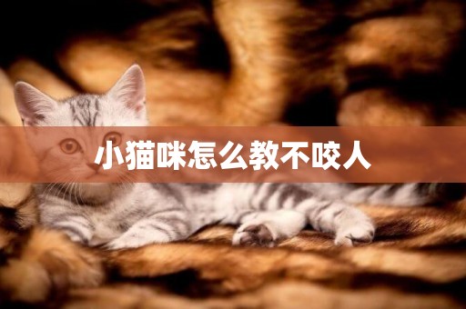 小貓咪怎么教不咬人