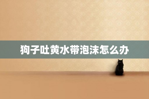 狗子吐黃水帶泡沫怎么辦