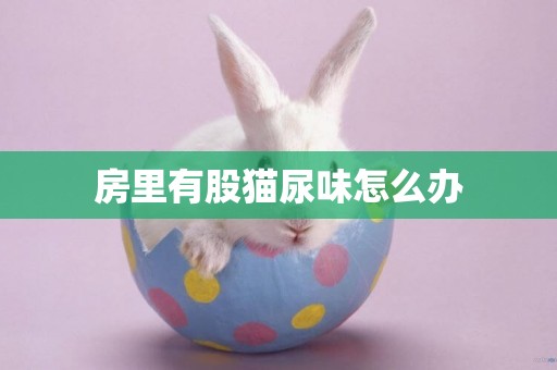 房里有股貓尿味怎么辦