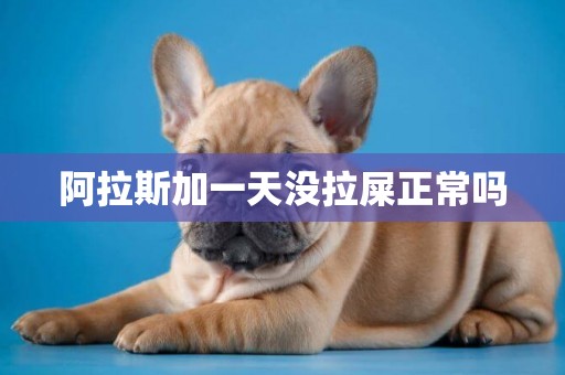 阿拉斯加一天沒拉屎正常嗎
