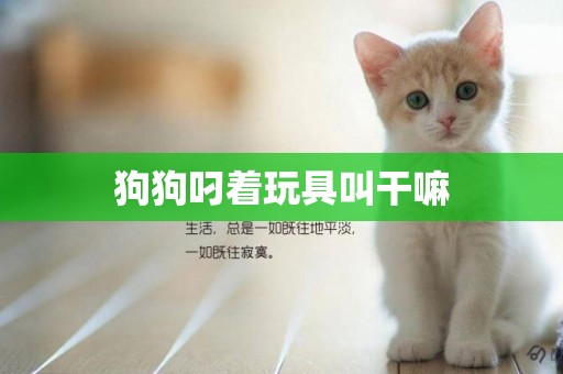 狗狗叼著玩具叫干嘛