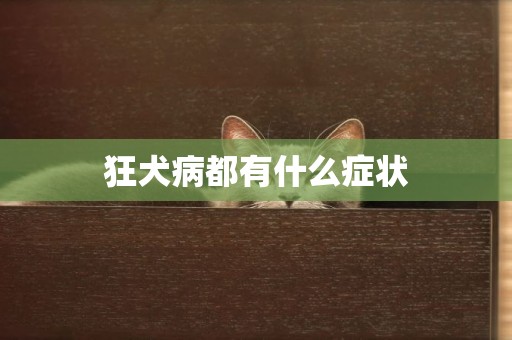 狂犬病都有什么癥狀