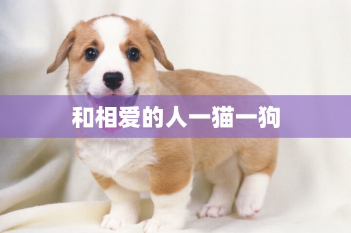 和相愛的人一貓一狗