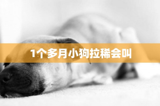1個多月小狗拉稀會叫