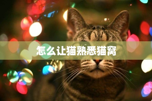 怎么讓貓熟悉貓窩