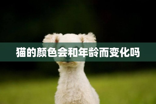 貓的顏色會和年齡而變化嗎