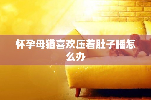 懷孕母貓喜歡壓著肚子睡怎么辦