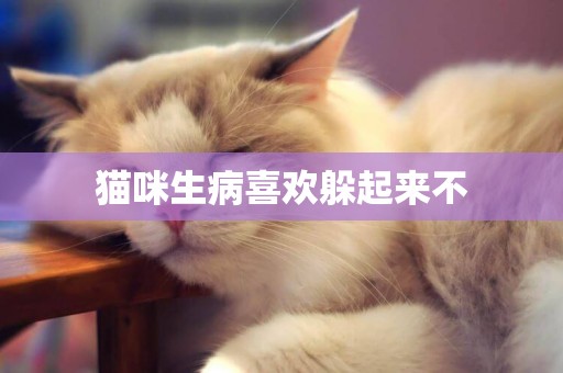 貓咪生病喜歡躲起來不