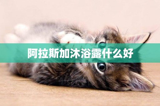 阿拉斯加沐浴露什么好