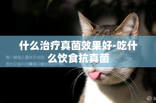 什么治療真菌效果好-吃什么飲食抗真菌