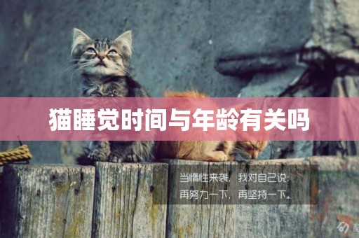 貓睡覺時間與年齡有關嗎