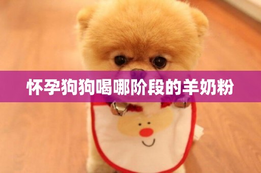 懷孕狗狗喝哪階段的羊奶粉