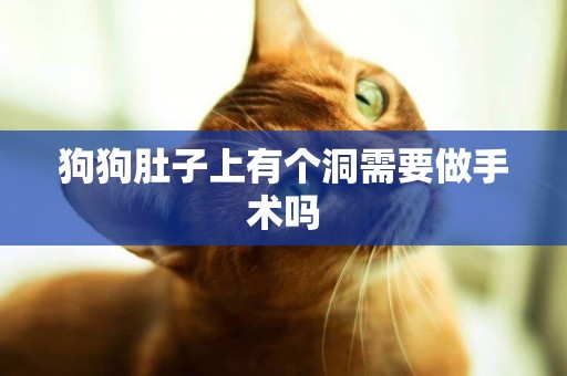狗狗肚子上有個洞需要做手術嗎
