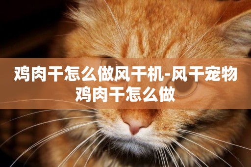 雞肉干怎么做風干機-風干寵物雞肉干怎么做
