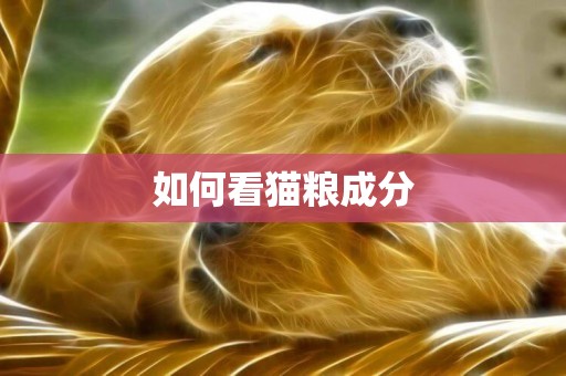 如何看貓糧成分