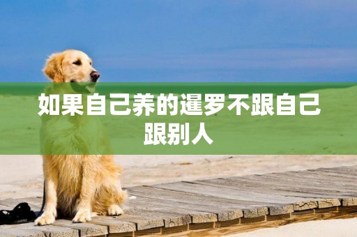 如果自己養的暹羅不跟自己跟別人