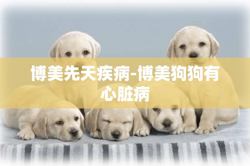 博美先天疾病-博美狗狗有心臟病